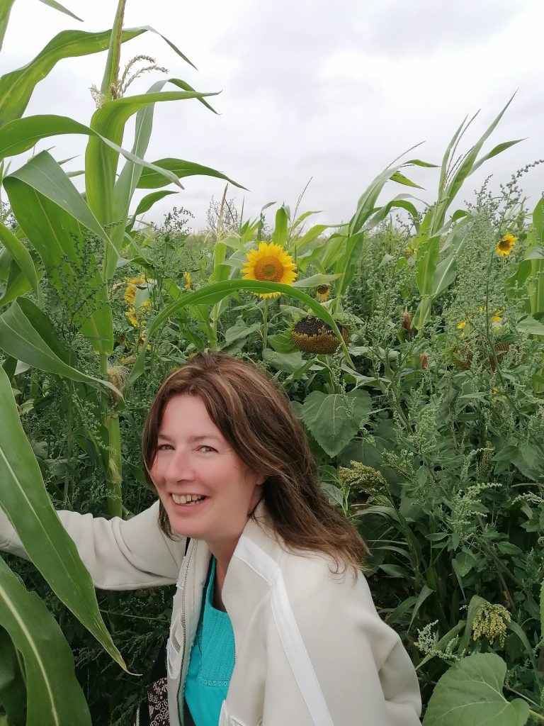I am in a sunflower field.