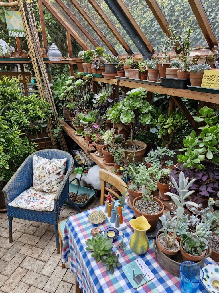 Lots of pots of plants at Briarwood