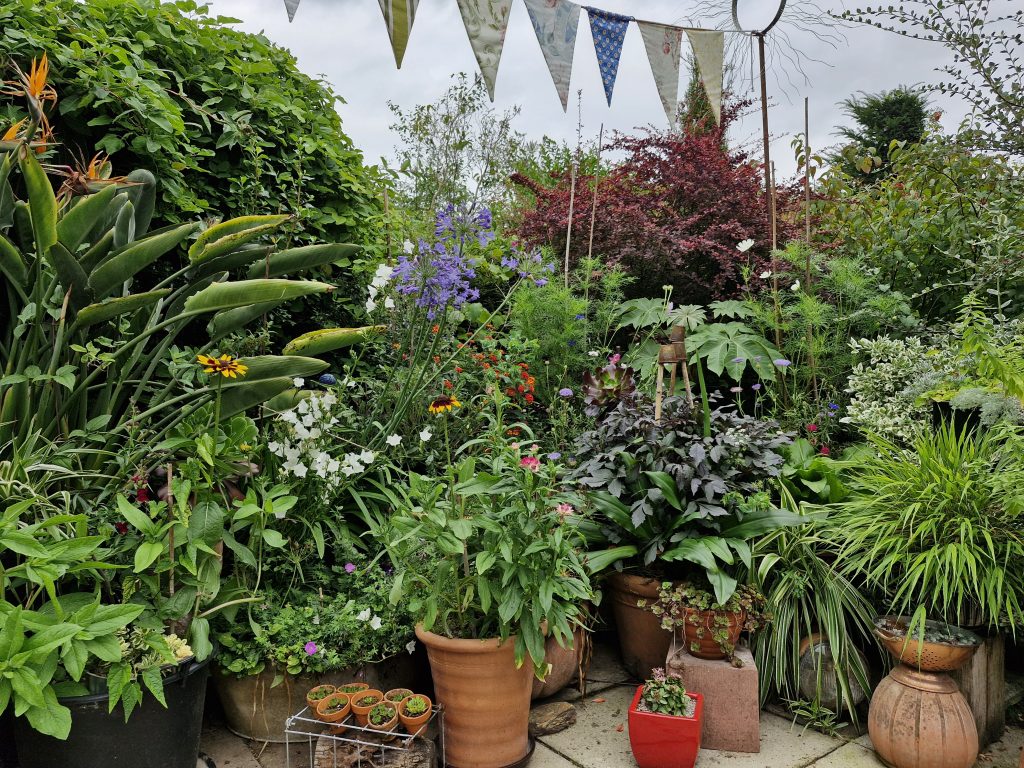 Lots of pots of plants at Briarwood