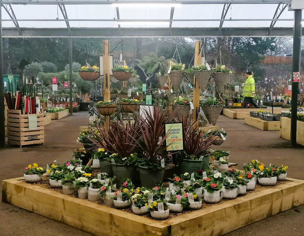 plants on display