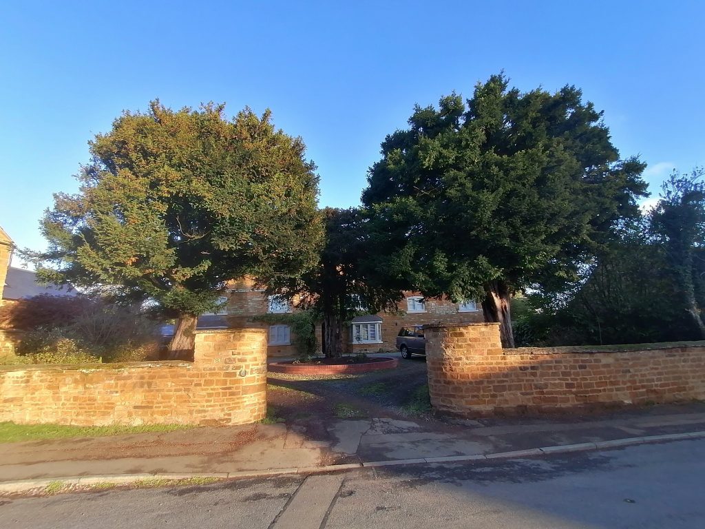 Two trees obscure a handsome house. 