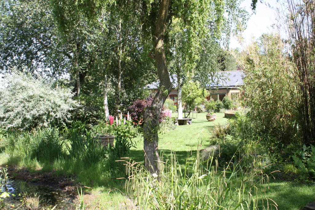 garden with beautiful blooms