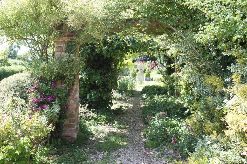 garden with bower