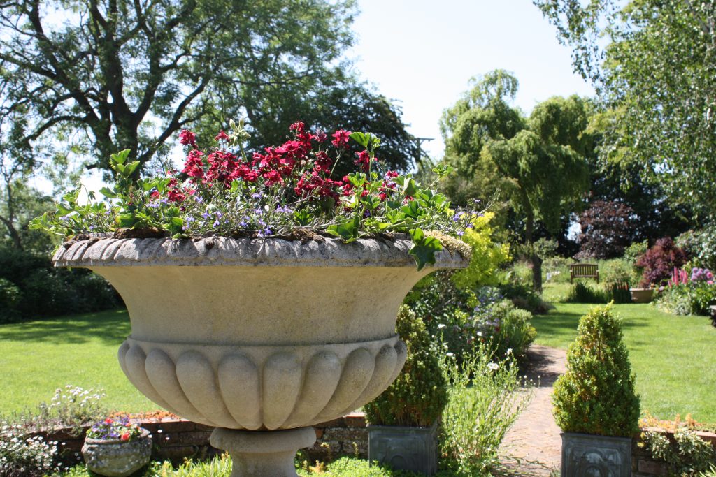 garden with flowers
