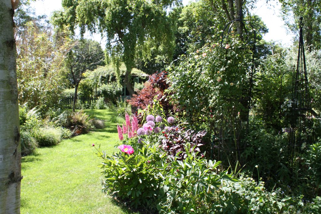 beautiful blooms in Tiffield Open gardens