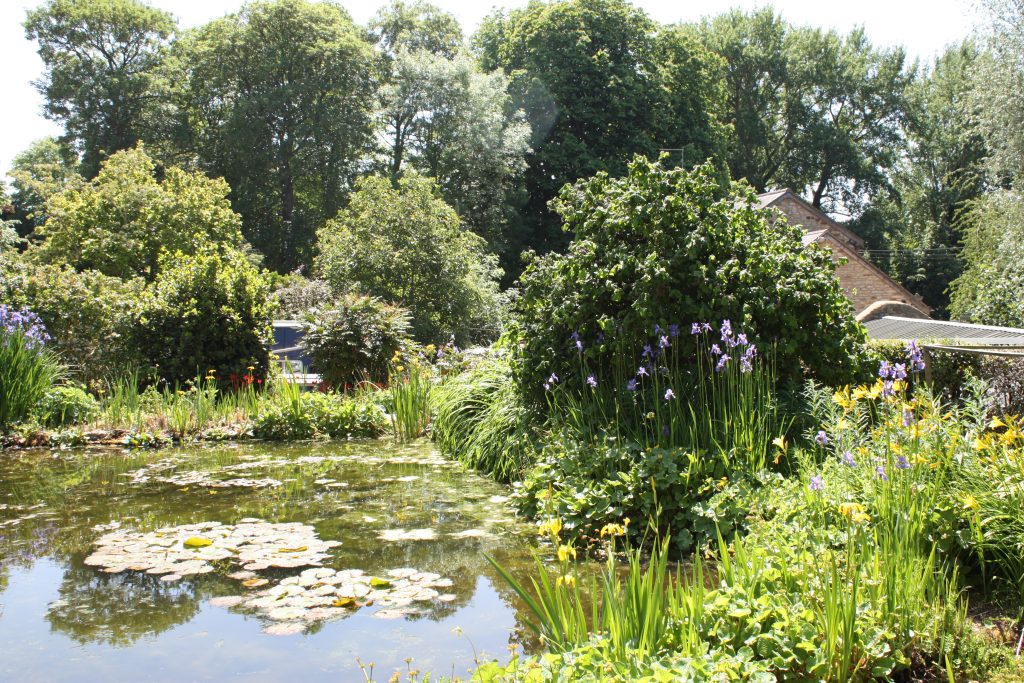 ponds