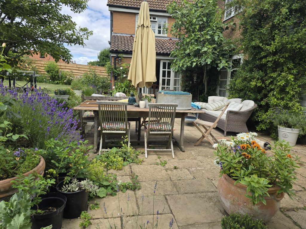dining table and chairs in a garden