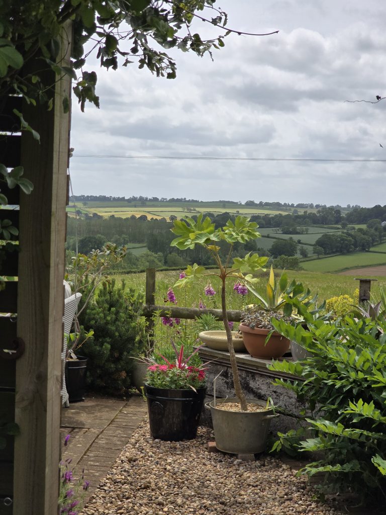 a garden looking out oto landscape